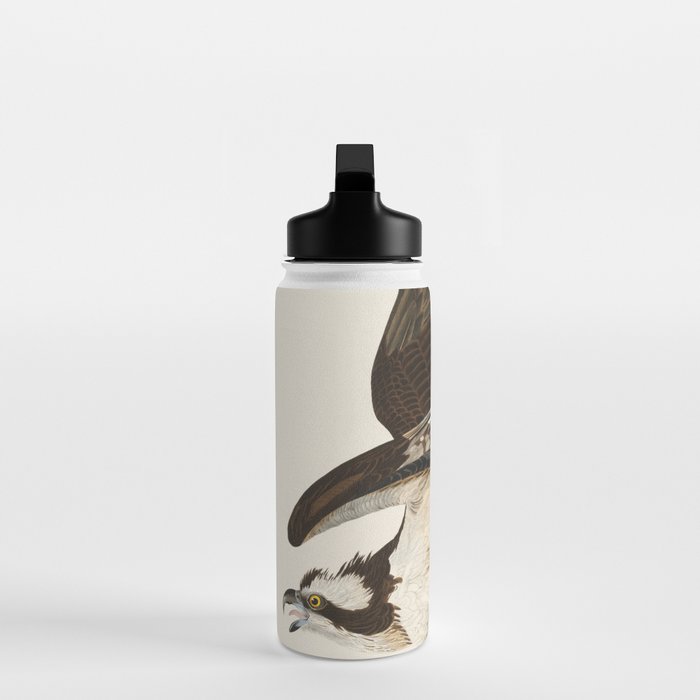 Fish Hawk, or Osprey from Birds of America (1827) by John James Audubon Water Bottle Gallery Image 3