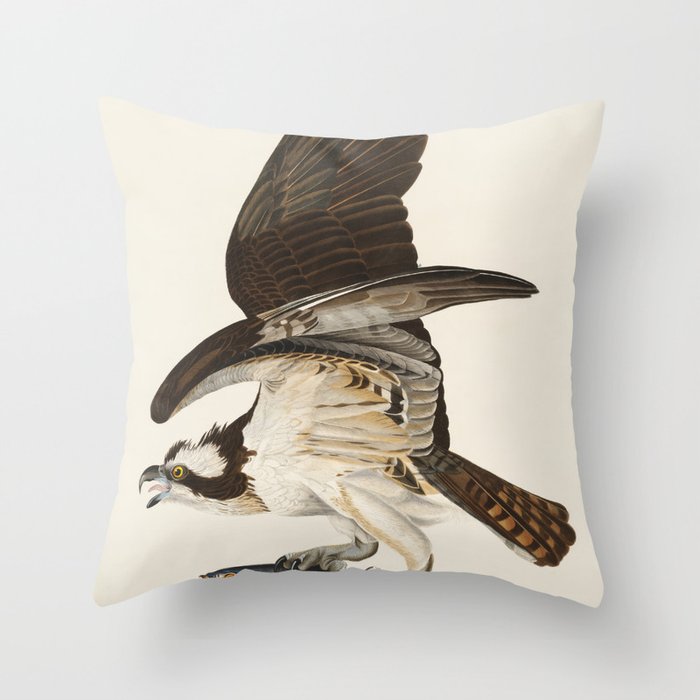 Fish Hawk, or Osprey from Birds of America (1827) by John James Audubon Throw Pillow Gallery Image 6