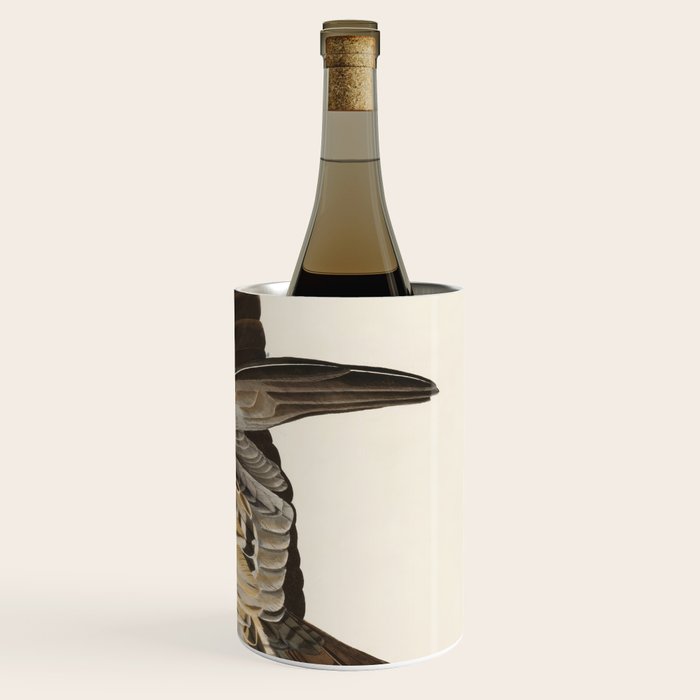Fish Hawk, or Osprey from Birds of America (1827) by John James Audubon Wine Chiller Gallery Image 3
