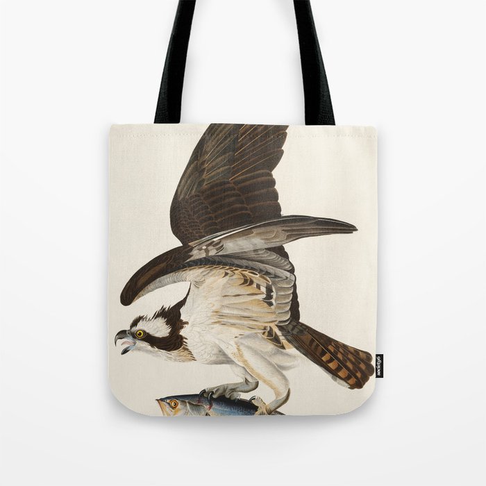 Fish Hawk, or Osprey from Birds of America (1827) by John James Audubon Tote Bag Gallery Image 1