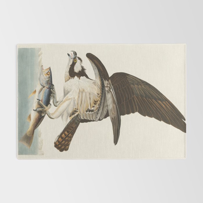 Fish Hawk, or Osprey from Birds of America (1827) by John James Audubon Rug Gallery Image 2