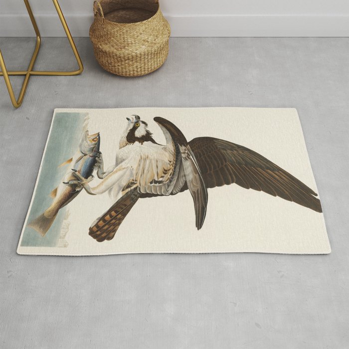 Fish Hawk, or Osprey from Birds of America (1827) by John James Audubon Rug Gallery Image 1