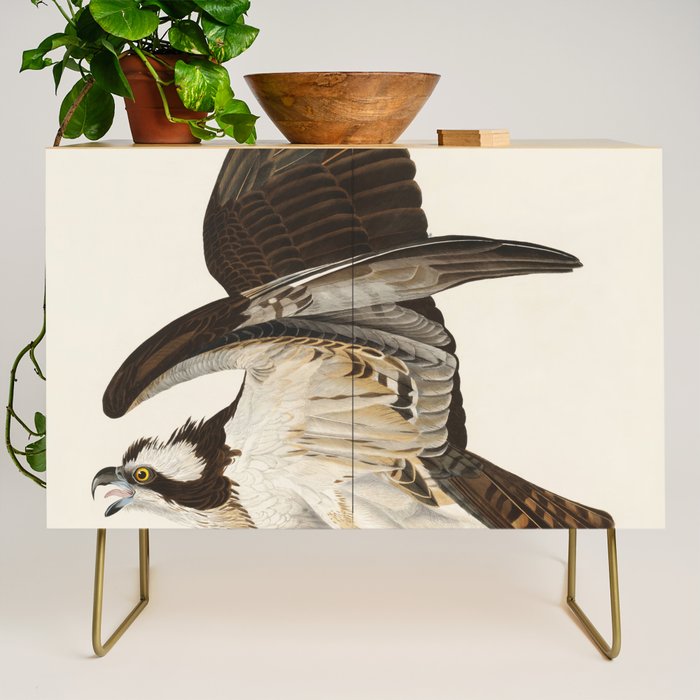 Fish Hawk, or Osprey from Birds of America (1827) by John James Audubon Credenza Gallery Image 1