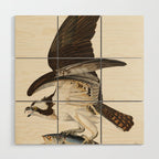 Fish Hawk, or Osprey from Birds of America (1827) by John James Audubon Wood Wall Art Gallery Image 1