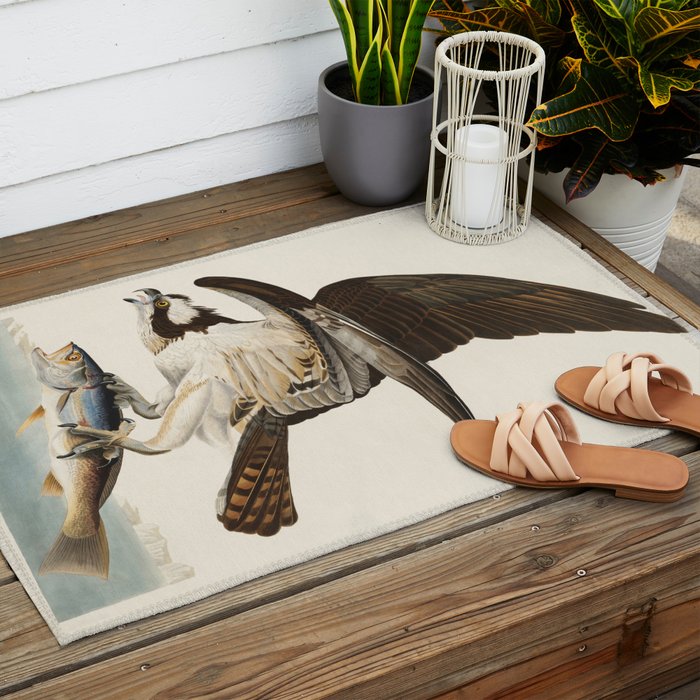 Fish Hawk, or Osprey from Birds of America (1827) by John James Audubon Outdoor Rug Gallery Image 2