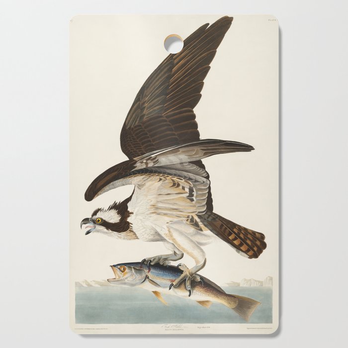 Fish Hawk, or Osprey from Birds of America (1827) by John James Audubon Cutting Board Gallery Image 1