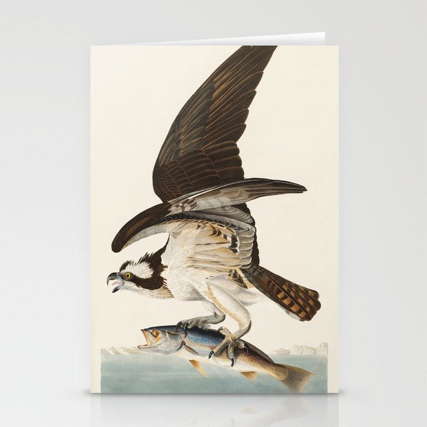 Fish Hawk, or Osprey from Birds of America (1827) by John James Audubon Stationery Card Gallery Image 2