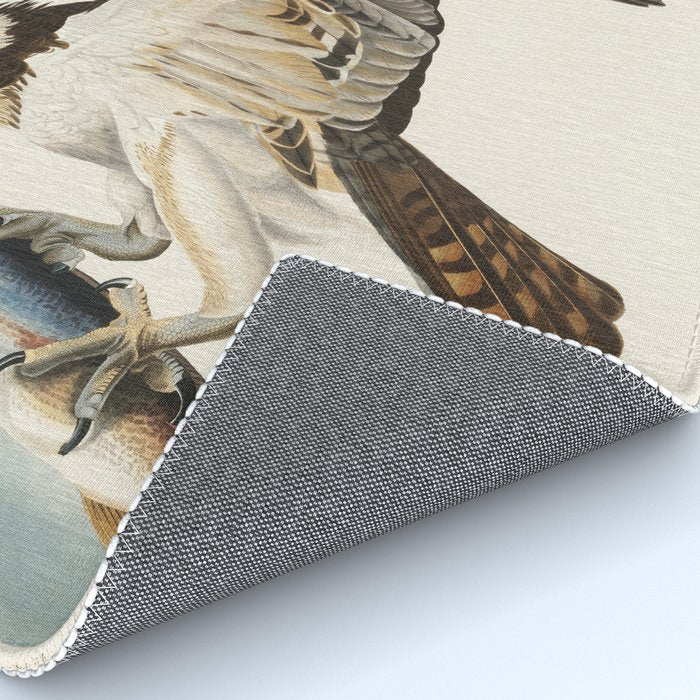 Fish Hawk, or Osprey from Birds of America (1827) by John James Audubon Rug Gallery Image 4
