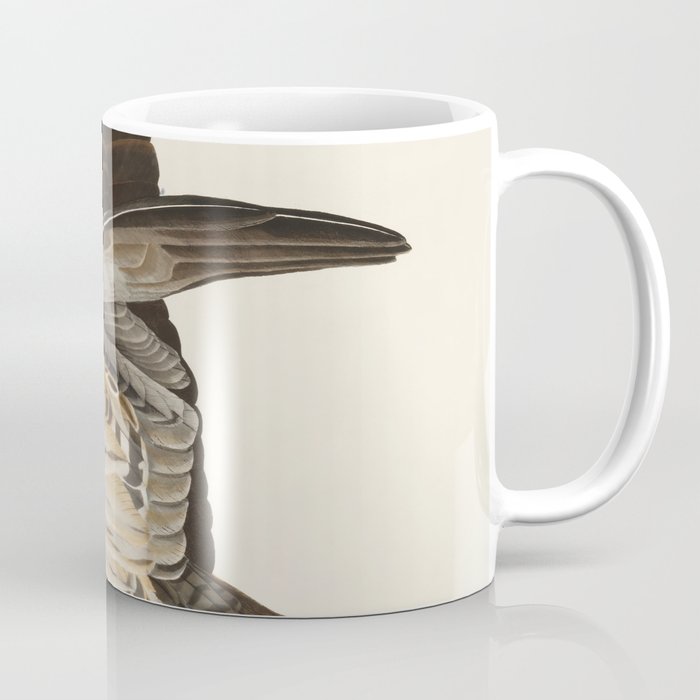 Fish Hawk, or Osprey from Birds of America (1827) by John James Audubon Coffee Mug Gallery Image 1