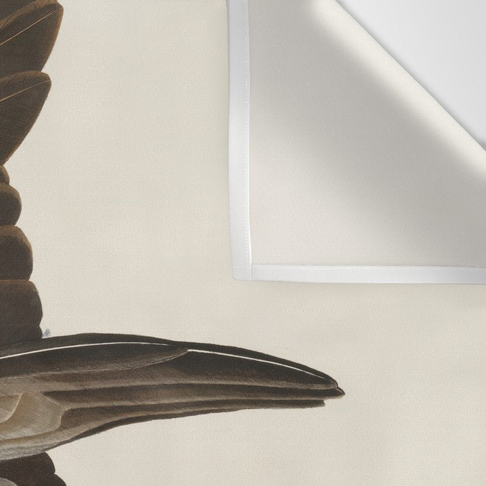 Fish Hawk, or Osprey from Birds of America (1827) by John James Audubon Wall Tapestry Gallery Image 3