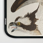 Fish Hawk, or Osprey from Birds of America (1827) by John James Audubon Laptop Sleeve Gallery Image 3