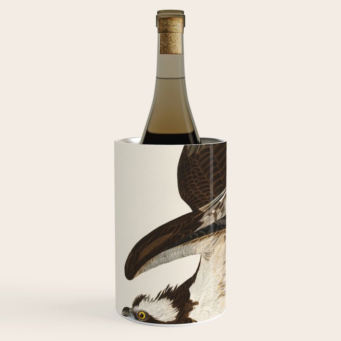Fish Hawk, or Osprey from Birds of America (1827) by John James Audubon Wine Chiller Gallery Image 2