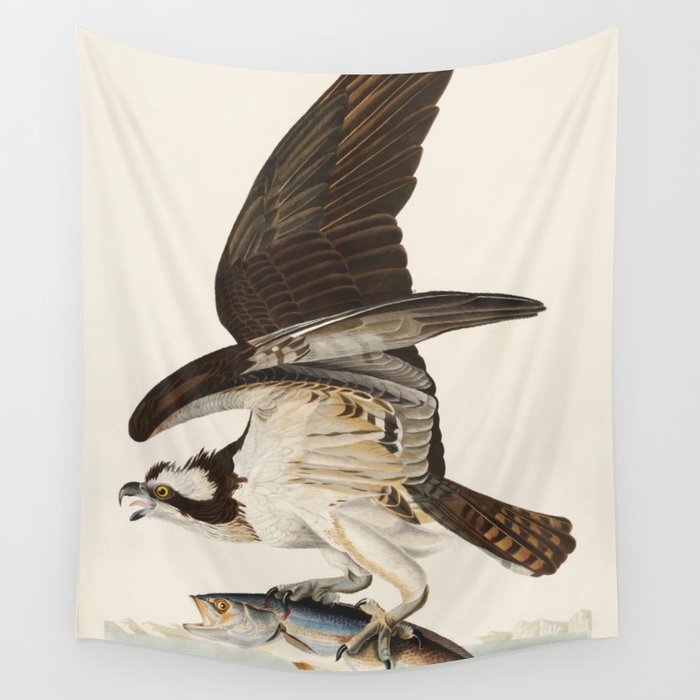 Fish Hawk, or Osprey from Birds of America (1827) by John James Audubon Wall Tapestry Gallery Image 1