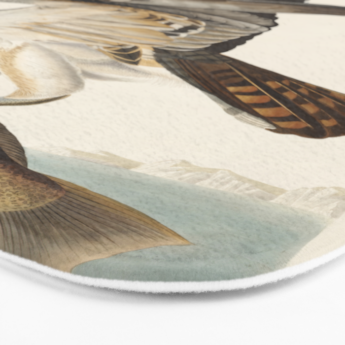 Fish Hawk, or Osprey from Birds of America (1827) by John James Audubon Bath Mat Gallery Image 3