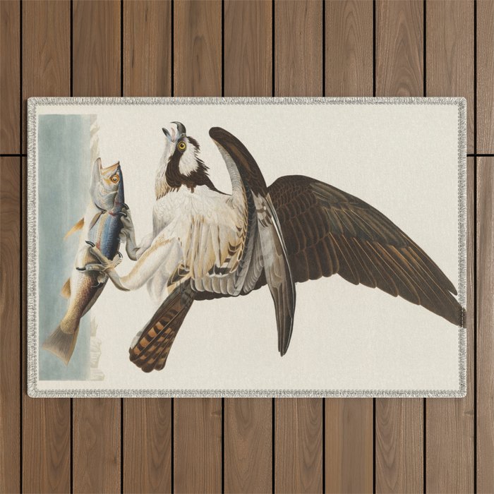 Fish Hawk, or Osprey from Birds of America (1827) by John James Audubon Outdoor Rug Gallery Image 1
