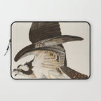 Fish Hawk, or Osprey from Birds of America (1827) by John James Audubon Laptop Sleeve Gallery Image 1