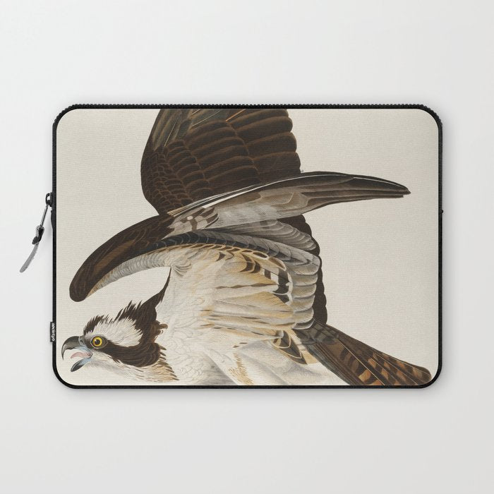 Fish Hawk, or Osprey from Birds of America (1827) by John James Audubon Laptop Sleeve Gallery Image 1