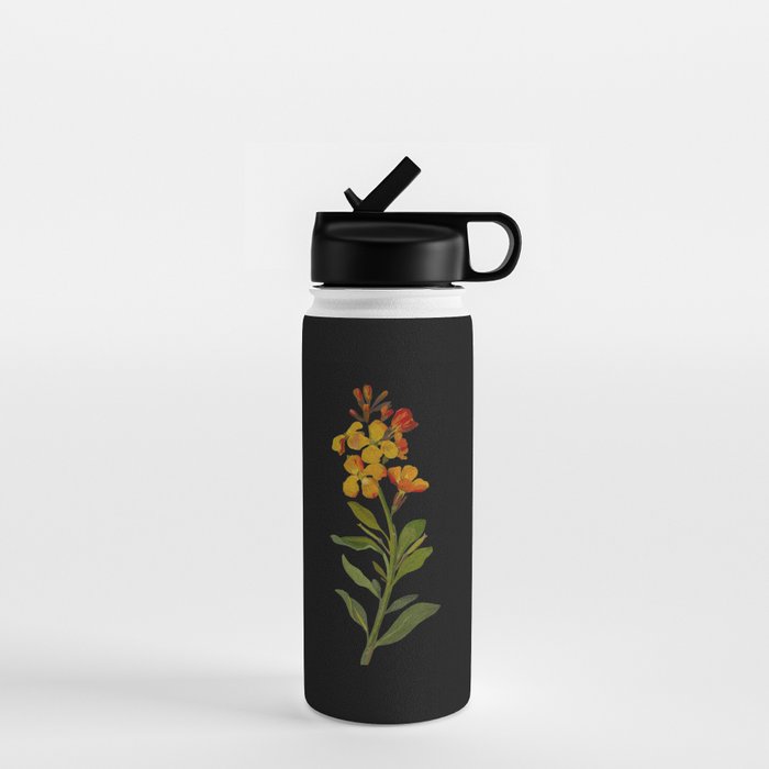 Cheiranthus Cheiri  by Mary Delany Paper Collage Floral Flower Botanical Paper Mosaic Vintage Scientific Plant Anatomy Water Bottle Gallery Image 1