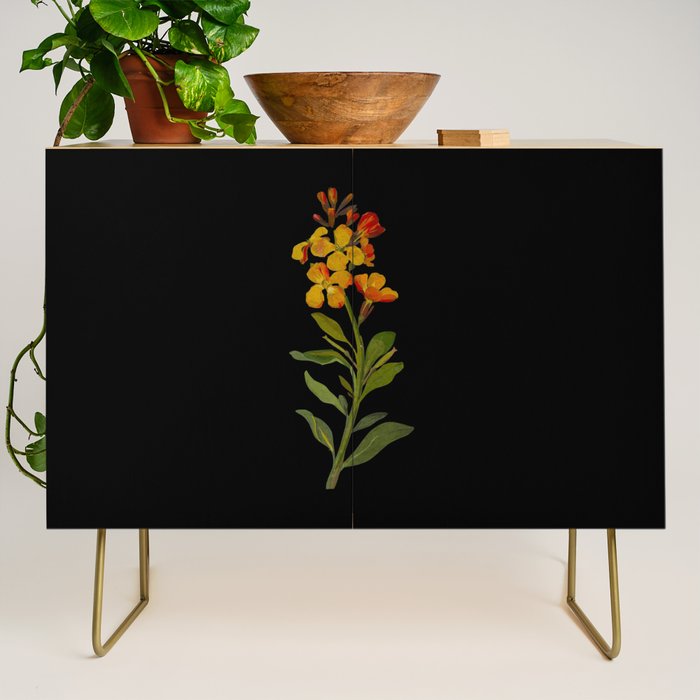 Cheiranthus Cheiri  by Mary Delany Paper Collage Floral Flower Botanical Paper Mosaic Vintage Scientific Plant Anatomy Credenza Gallery Image 1