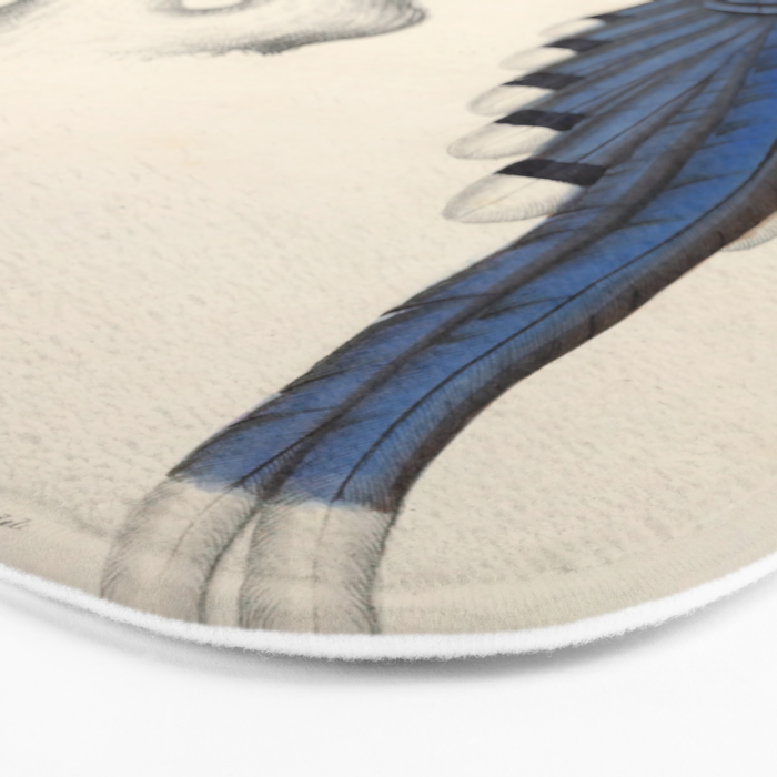 Red-billed magpie by Elizabeth Gould from "A Century of Birds from the Himalaya Mountains," 1831 Bath Mat Gallery Image 3