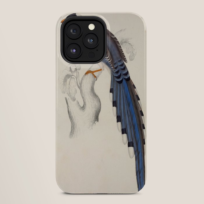 Red-billed magpie by Elizabeth Gould from "A Century of Birds from the Himalaya Mountains," 1831 iPhone Case Gallery Image 28