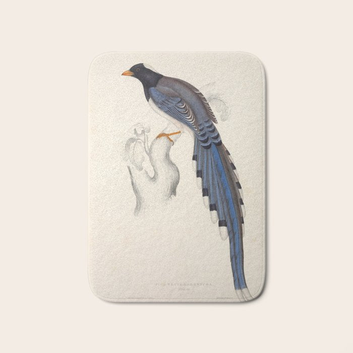 Red-billed magpie by Elizabeth Gould from "A Century of Birds from the Himalaya Mountains," 1831 Bath Mat Gallery Image 1