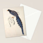 Red-billed magpie by Elizabeth Gould from "A Century of Birds from the Himalaya Mountains," 1831 Stationery Card Gallery Image 2