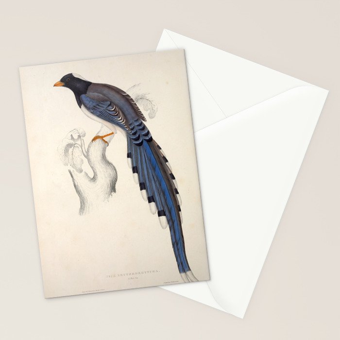 Red-billed magpie by Elizabeth Gould from "A Century of Birds from the Himalaya Mountains," 1831 Stationery Card Gallery Image 2