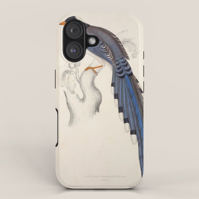 Red-billed magpie by Elizabeth Gould from "A Century of Birds from the Himalaya Mountains," 1831 iPhone Case Gallery Image 1