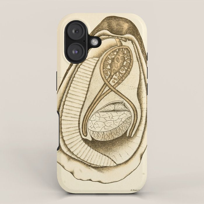 Oyster from "The Oyster: A Popular Summary of a Scientific Study," 1891 (benefitting the Billion Oyster Project) iPhone Case Gallery Image 1