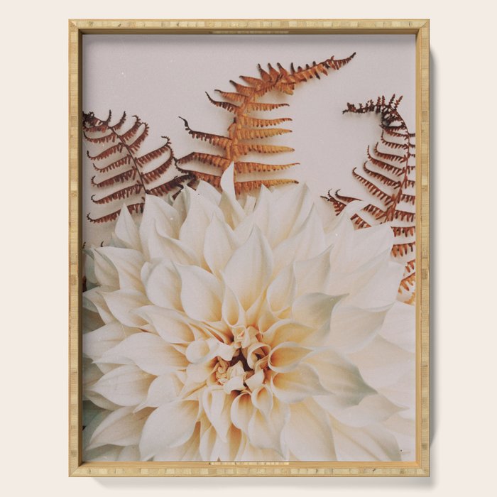 Autumn Mood #2 - Modern Botanical Photograph Serving Tray Gallery Image 1