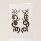 Albertus Seba Snakes  Double Spiral Vines  Stationery Card Gallery Image 2