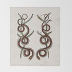 Albertus Seba Snakes  Double Spiral Vines  Throw Blanket Gallery Image 2