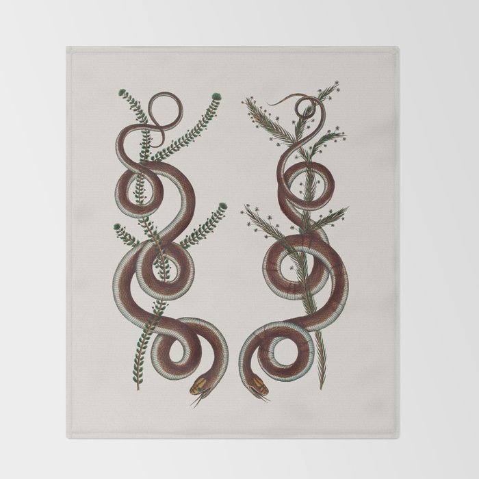 Albertus Seba Snakes  Double Spiral Vines  Throw Blanket Gallery Image 2