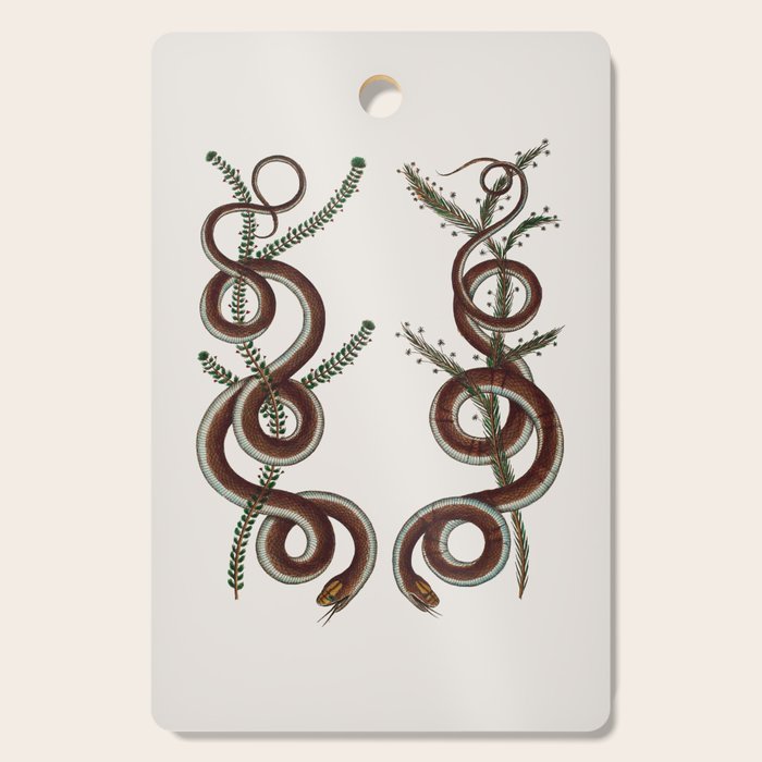 Albertus Seba Snakes  Double Spiral Vines  Cutting Board Gallery Image 1