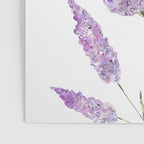 Lavander Poster Gallery Image 3