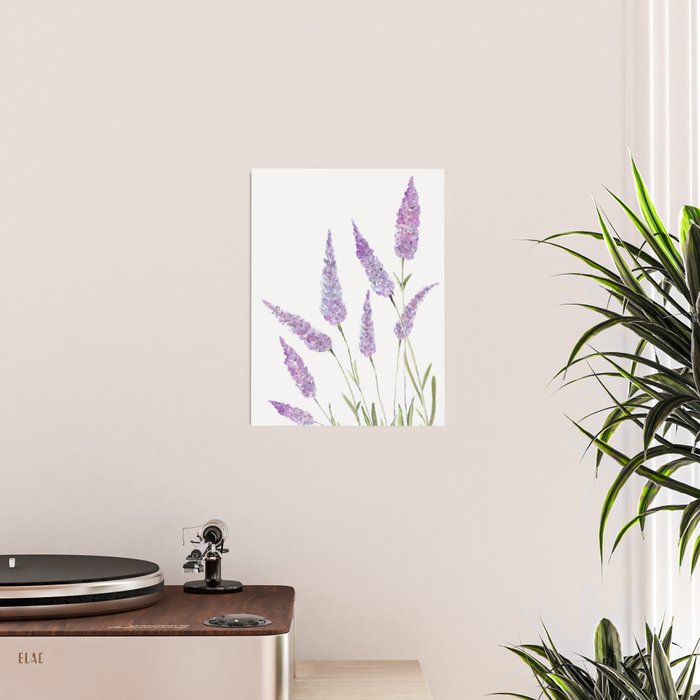 Lavander Poster Gallery Image 2