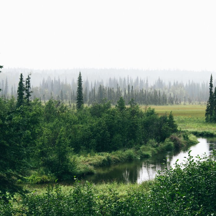 Alaska Interior Coffee Mug Gallery Image 2