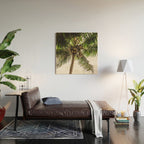 Coconut Bounty Wood Wall Art Gallery Image 2