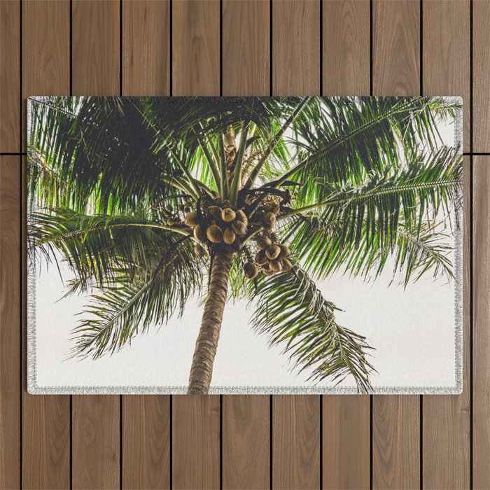 Coconut Bounty Outdoor Rug Gallery Image 1