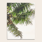Coconut Bounty Notebook Gallery Image 4