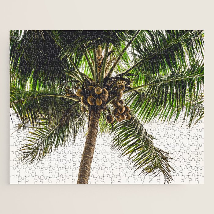 Coconut Bounty Jigsaw Puzzle Gallery Image 1