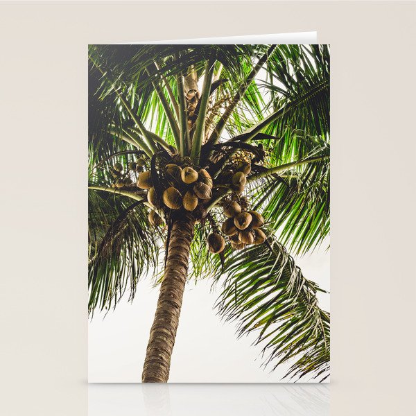 Coconut Bounty Stationery Card Gallery Image 1