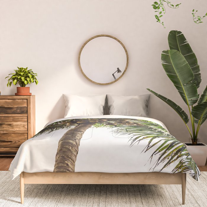 Coconut Bounty Comforter Gallery Image 3