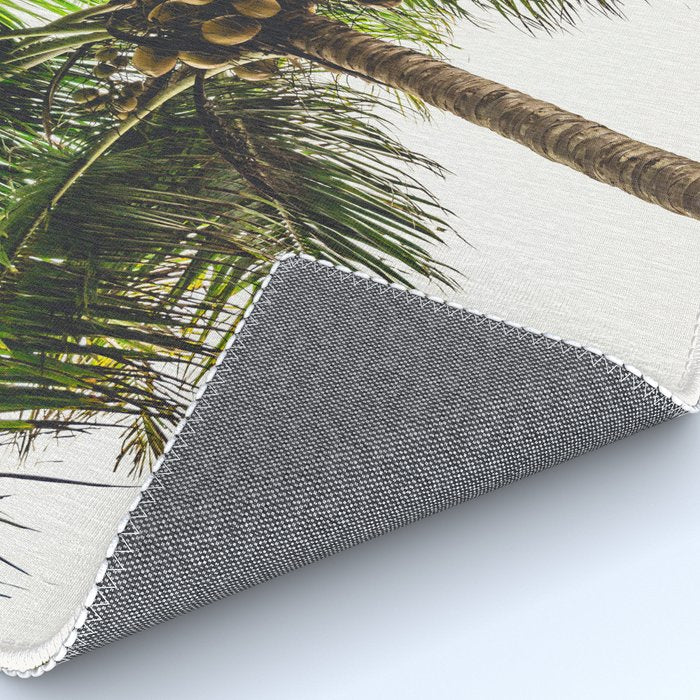 Coconut Bounty Rug Gallery Image 4