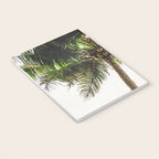 Coconut Bounty Notebook Gallery Image 3
