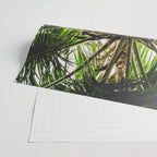 Coconut Bounty Wrapping Paper Gallery Image 2