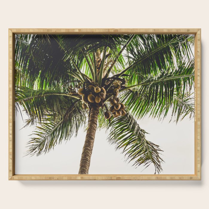 Coconut Bounty Serving Tray Gallery Image 1