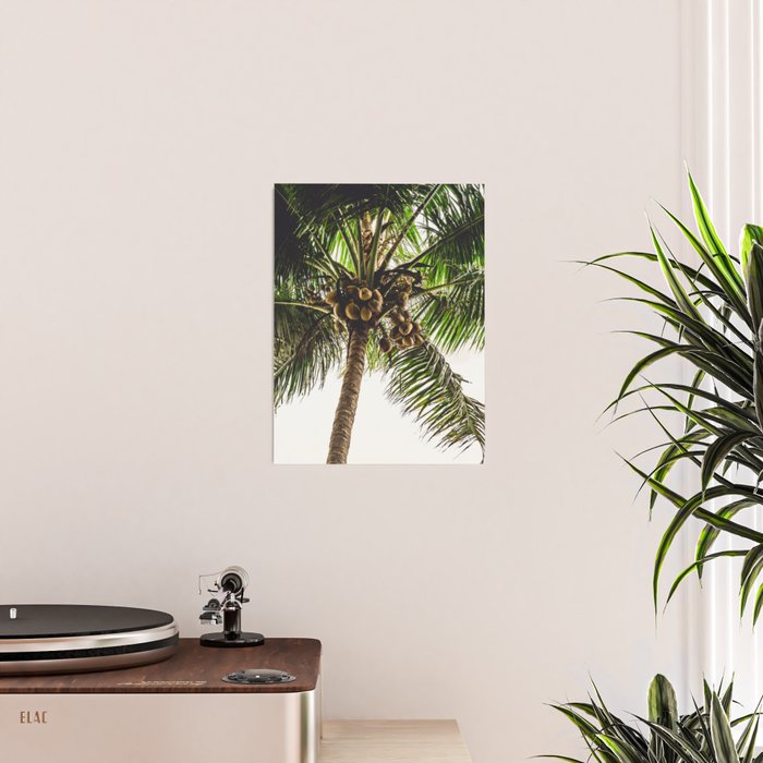 Coconut Bounty Poster Gallery Image 2