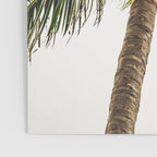 Coconut Bounty Poster Gallery Image 3